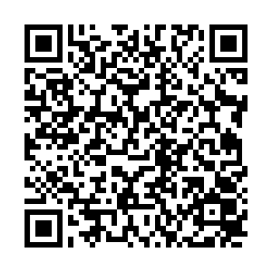 QR Code Waldis Bau Spende